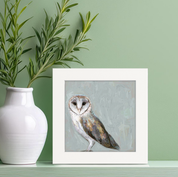 Gray Day Owl Happy Square