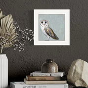 Gray Day Owl Happy Square