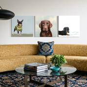 100 Days of Dogs - 92 Canvas Wrap