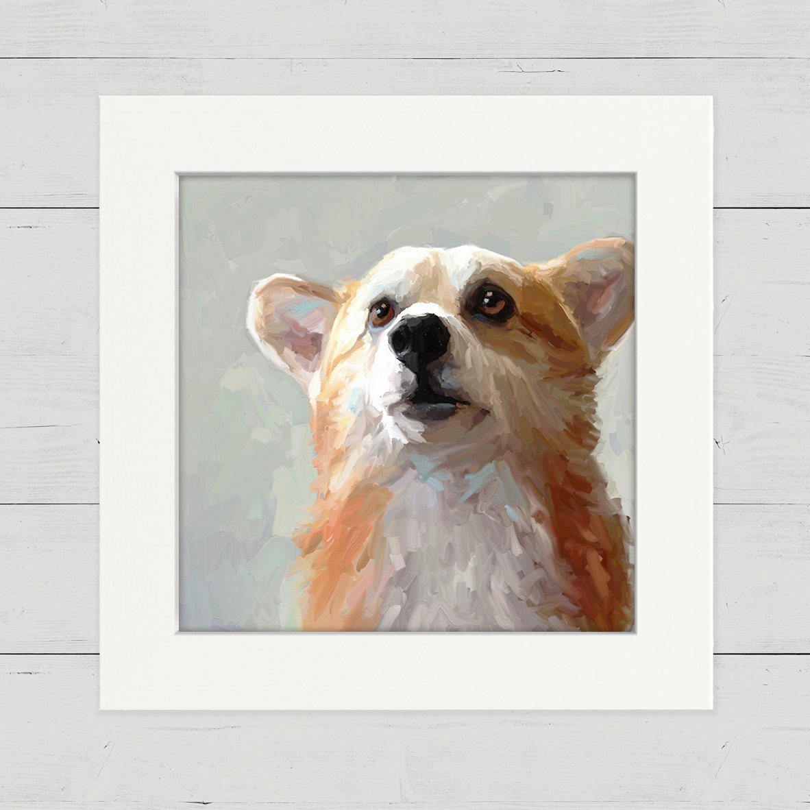 Looking_Up_Corgi_CU.png