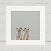 Meerkat Secrets Happy Square™