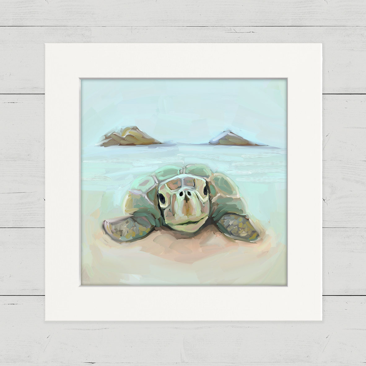 Mokulua_Sea_Turtle_CU.png