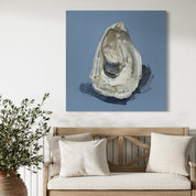 Oyster Study 1 Canvas Wrap