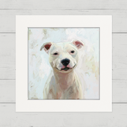 Pittie 2 Happy Square