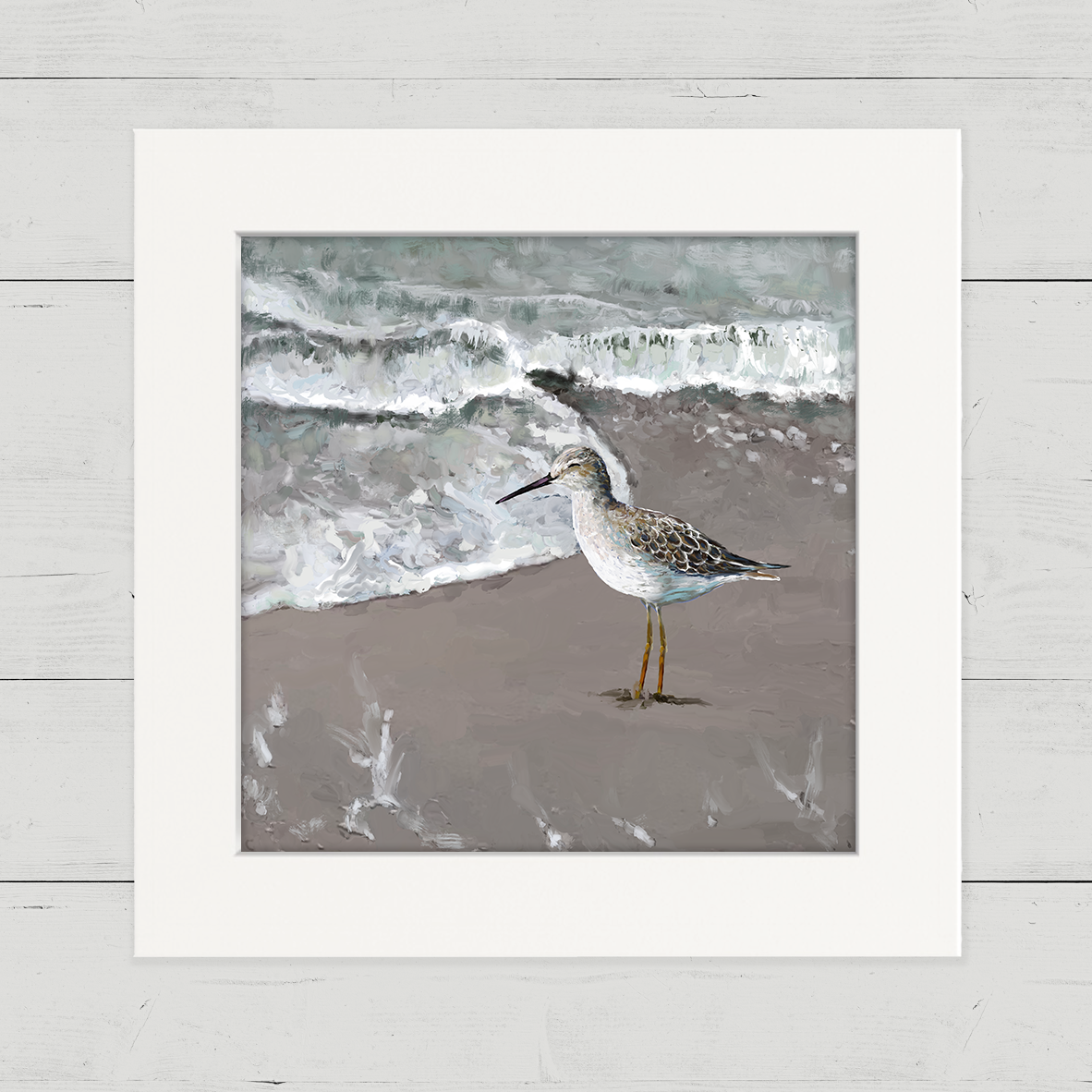 Sandpiper_CU_4057ad67-26ce-4d9c-80bf-822ff165690c.png