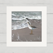 Sandpiper Happy Square™