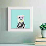Schnauzer 2015 Happy Square