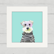 Schnauzer 2015 Happy Square
