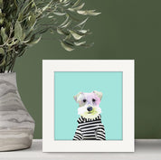 Schnauzer 2015 Happy Square