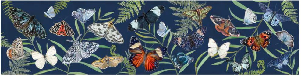 Butterflies - Dark Blue Stretched Canvas Wall Art