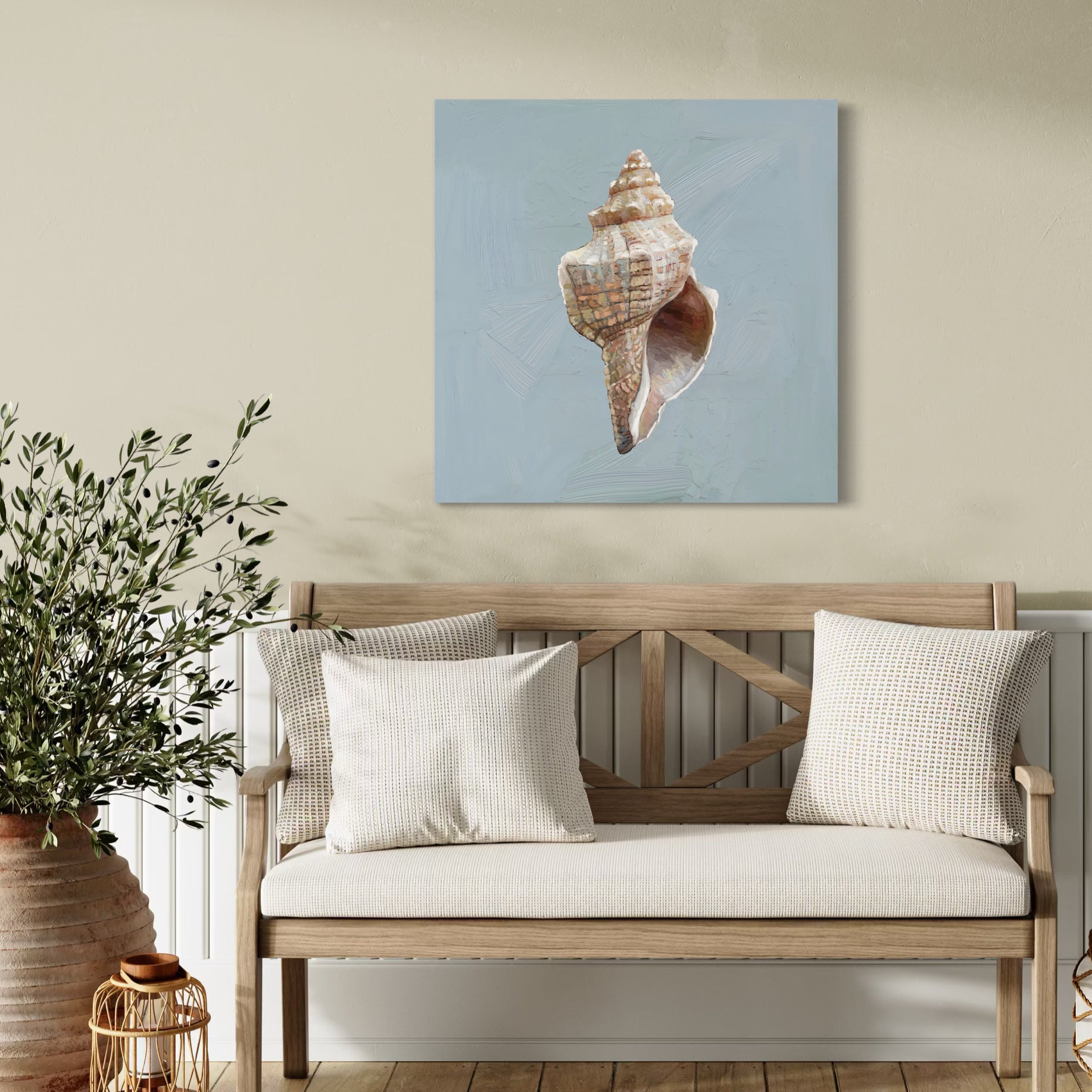 Knobbed Whelk Canvas Wrap – Cathy Walters Art