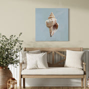 Knobbed Whelk Canvas Wrap