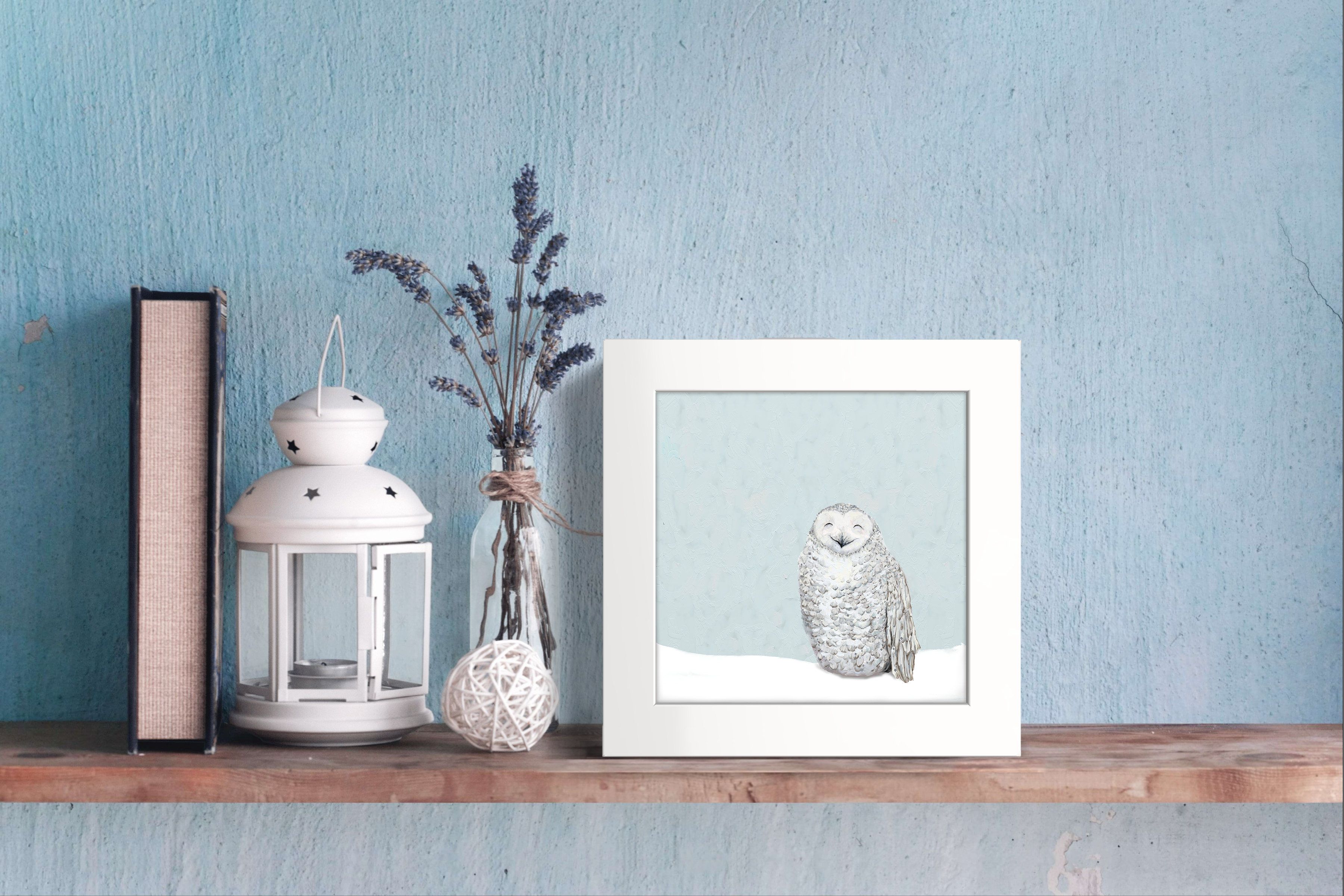 Snowy Owl 2 Happy Square