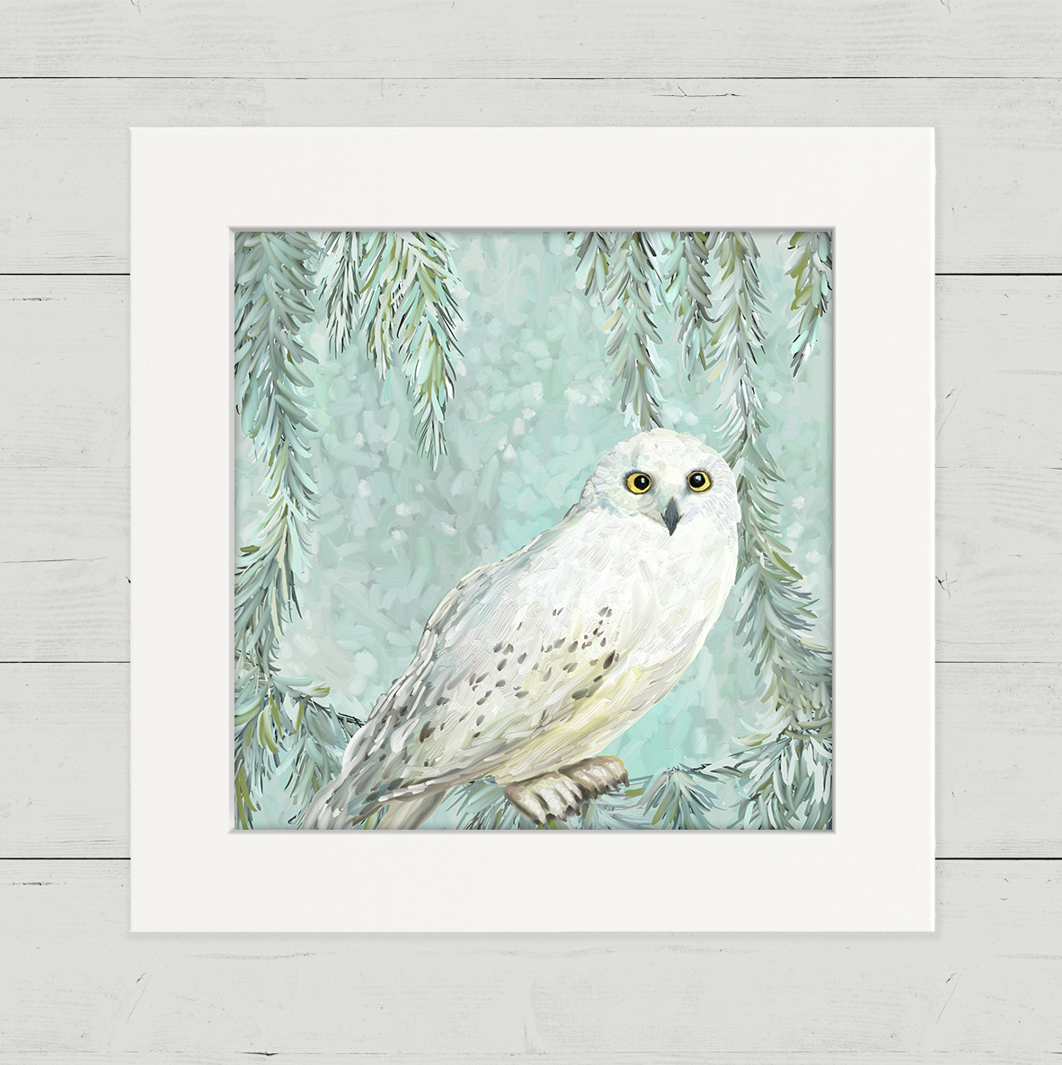 Snowy Owl 3 Happy Square