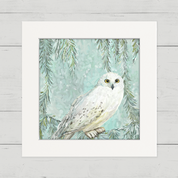 Snowy Owl 3 Happy Square