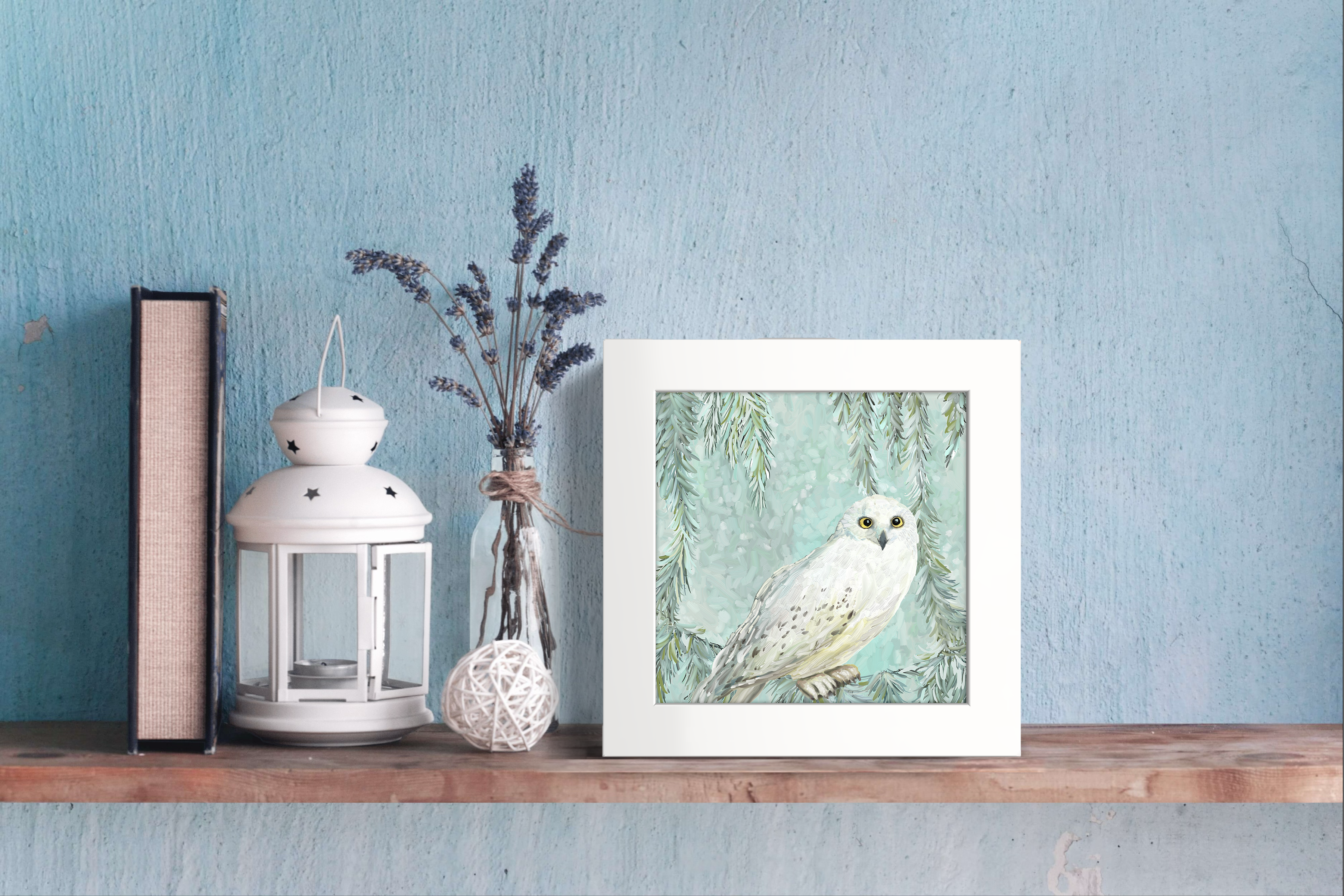 Snowy Owl 3 Happy Square