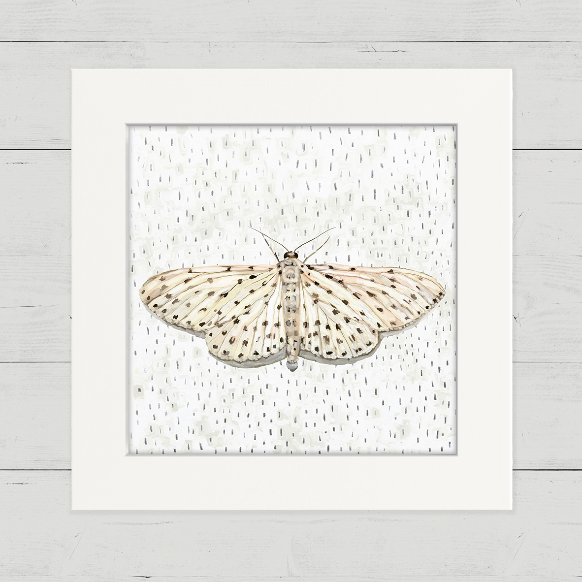White_on_White_Wings_1_CU_dc76ad38-b935-420d-a72f-8d5b4af1c057.png