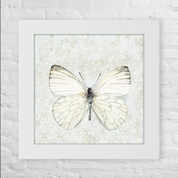 White on White Wings Happy Square™ Trio