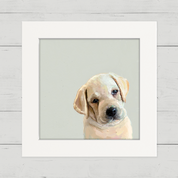 Yellow Lab Pup Happy Square™