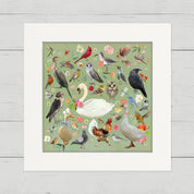 All the Birds Happy Square