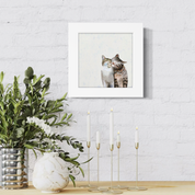Cat Pair Happy Square