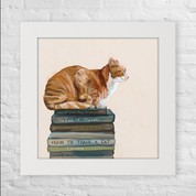 Cats on Books Bundle