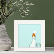 Curious Duck Happy Square
