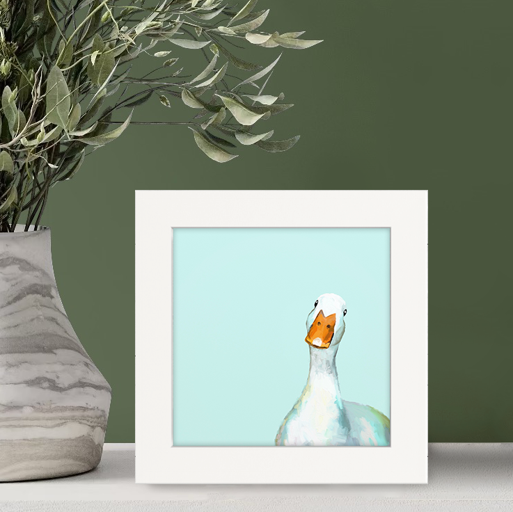 Curious Duck Happy Square