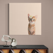 Daisy Kitten Canvas Wrap