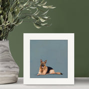 German Shepherd Lounging Happy Square