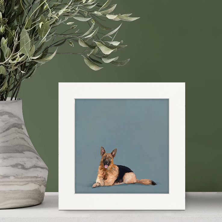 German Shepherd Lounging Happy Square
