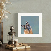 Head Tilt German Shepherd Happy Square