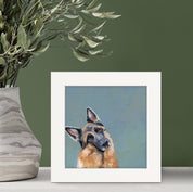 Head Tilt German Shepherd Happy Square