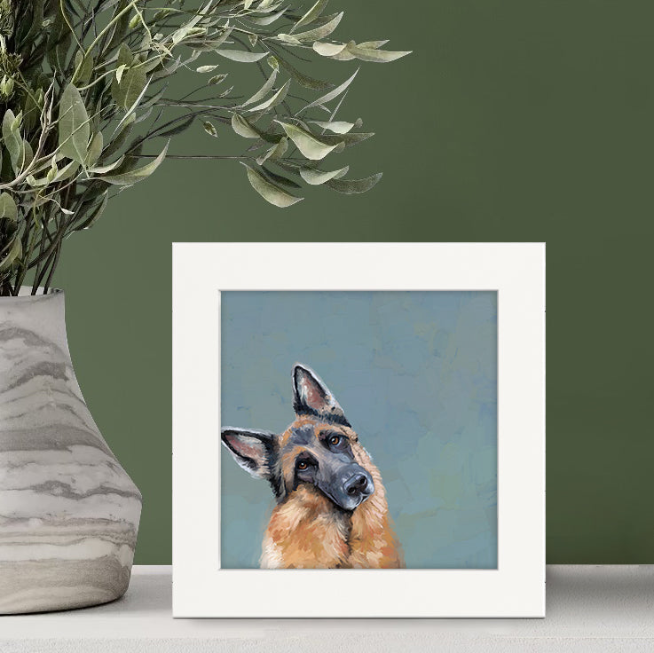headtiltgermanshepherdmu1.jpg