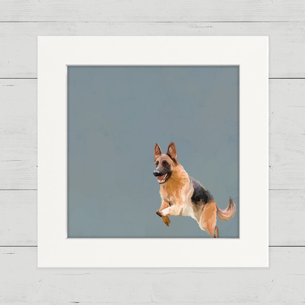 jumpinggermanshepherdcu.jpg