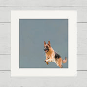 Jumping German Shepherd Happy Square