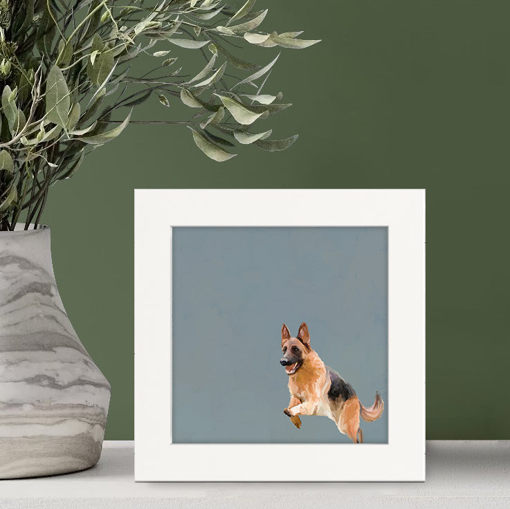 Jumping German Shepherd Happy Square