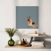 Jumping German Shepherd Canvas Wrap