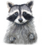 little_raccoon.png