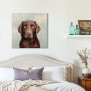 Looking Up Chocolate Lab Canvas Wrap