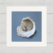 Oyster Study 2 Happy Square