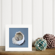 Oyster Study 2 Happy Square