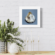 Oyster Study 3 Happy Square