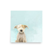 Scruffy Dog Paper Print