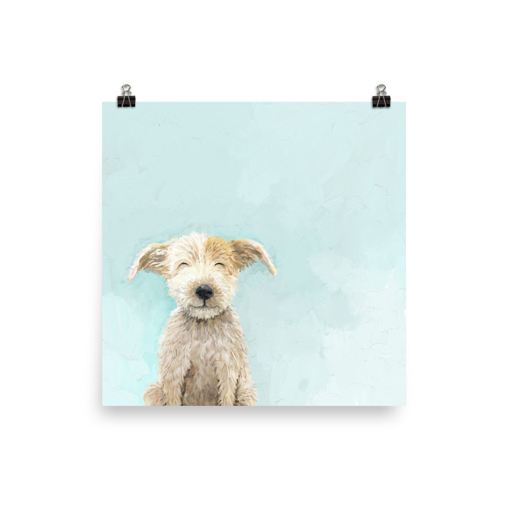Scruffy Dog Paper Print