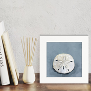 Sand Dollar Happy Square