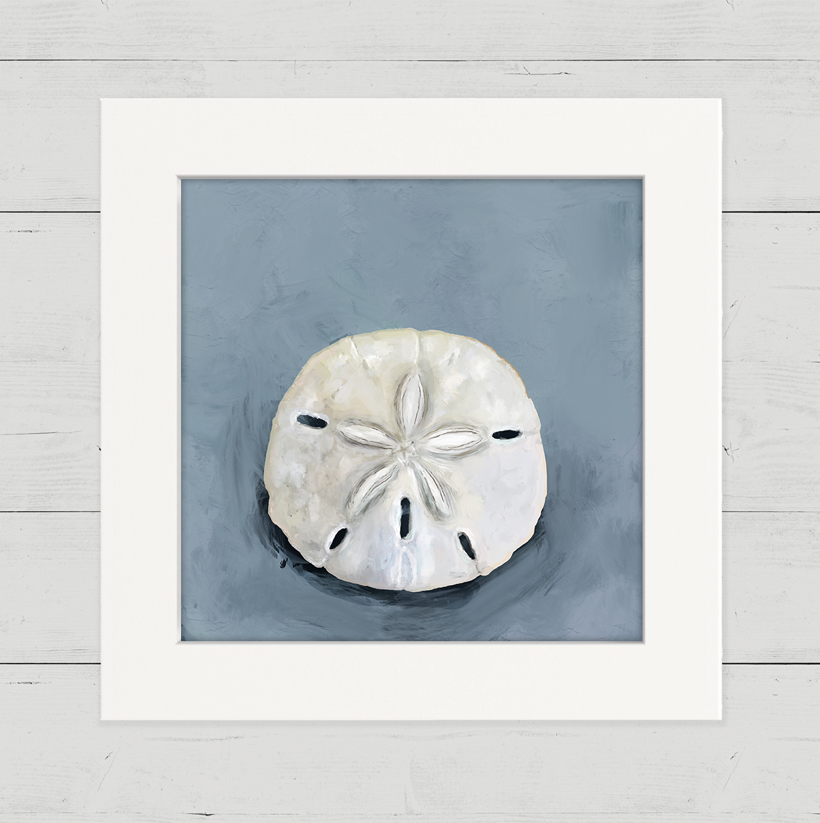 Sand Dollar Happy Square